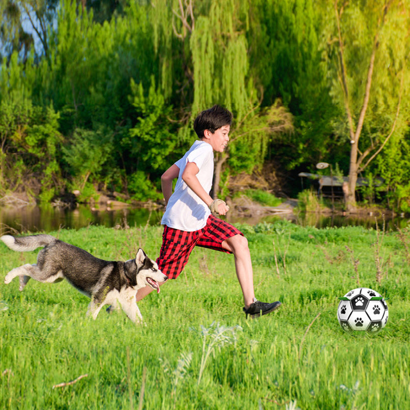 Dog footballs toys