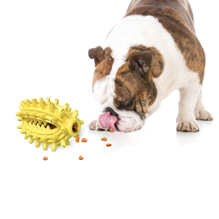 Rugby chew toy