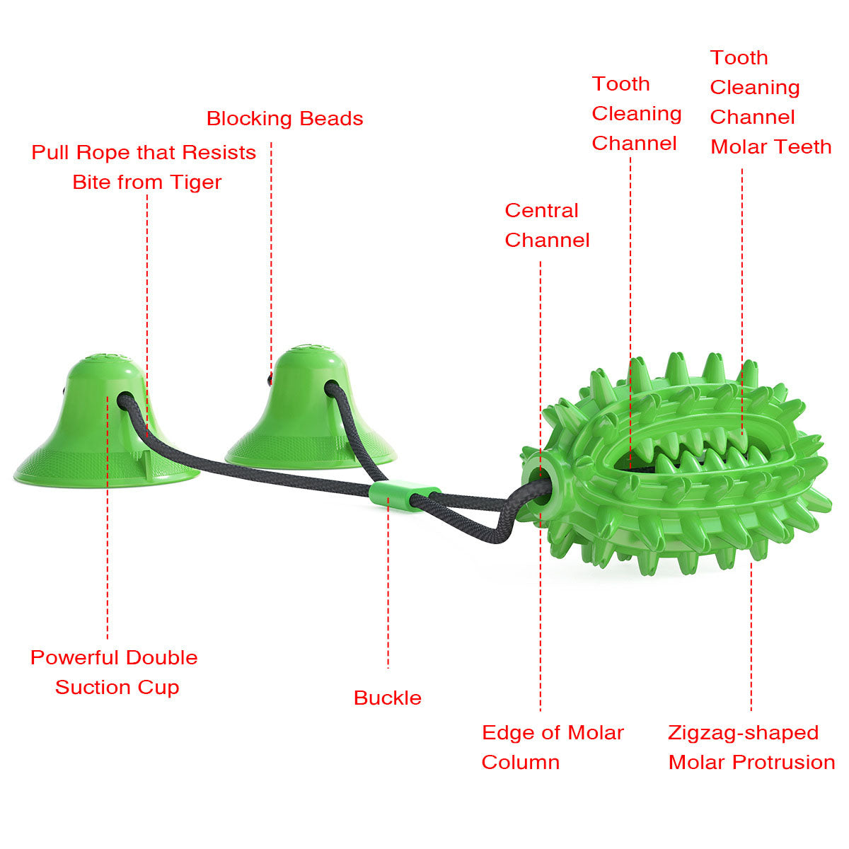 Suction cup rugby ball dog tug of war toys