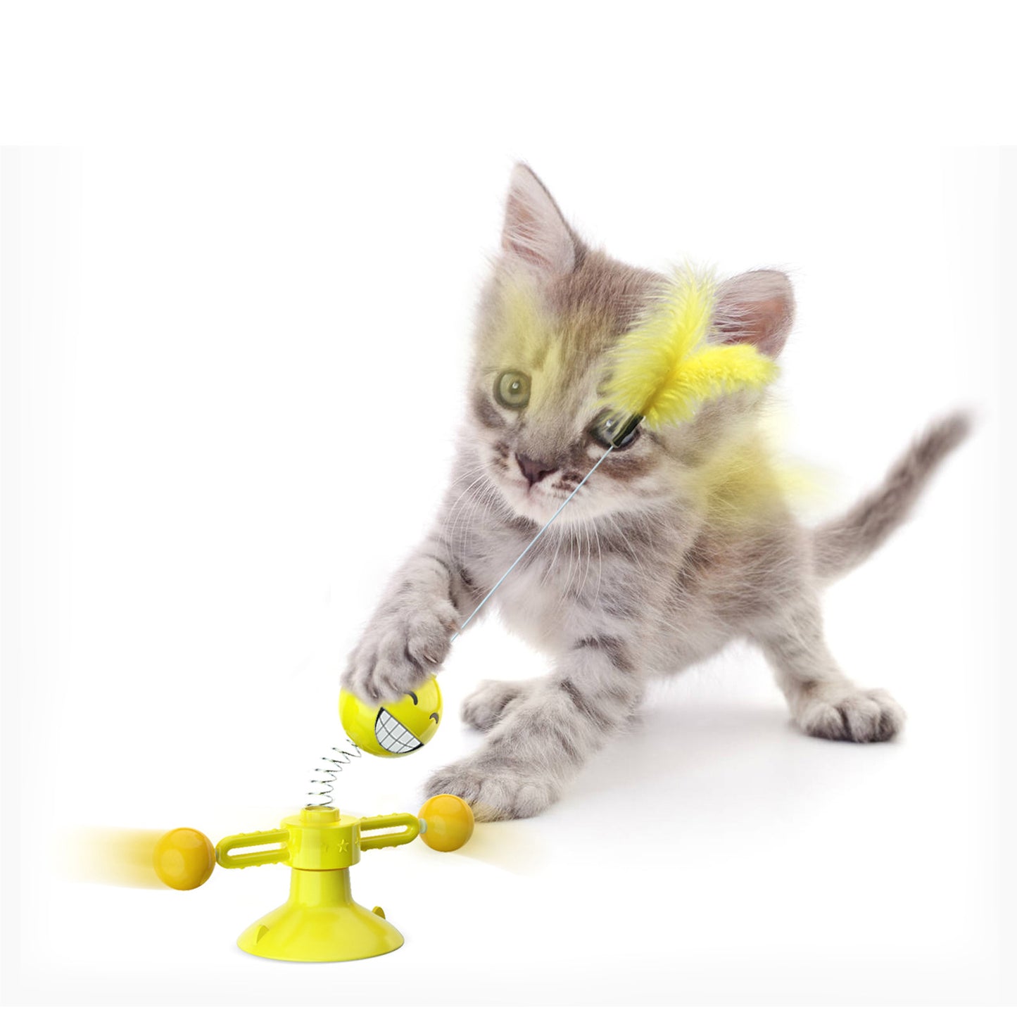 Spring doll cat toys