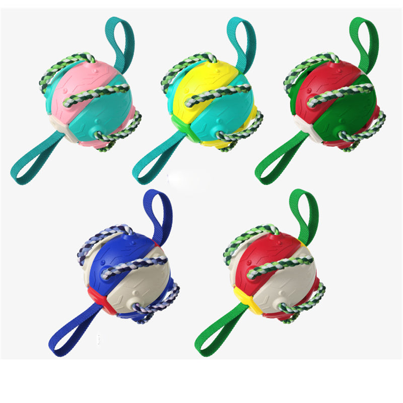 Multi-functional dog Frisbee ball