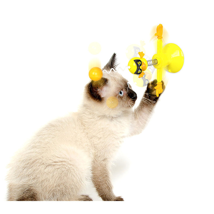 Spring bird cat toys