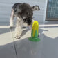 Suction cup vocal corn chew toy