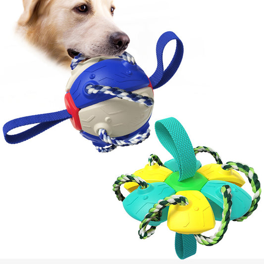 Multi-functional dog Frisbee ball