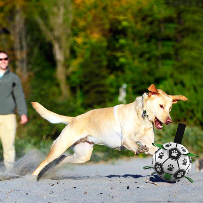 Dog footballs toys