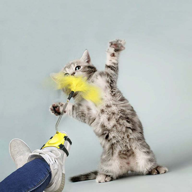 Cat Toy Cat Teaser with Your Feet