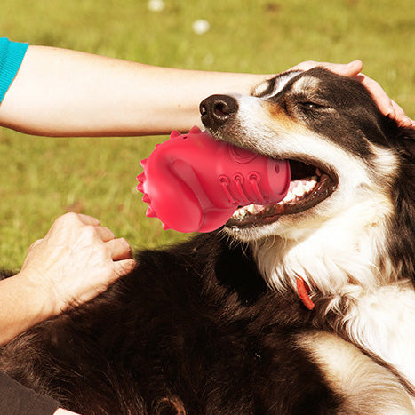 Boxing gloves dog toys