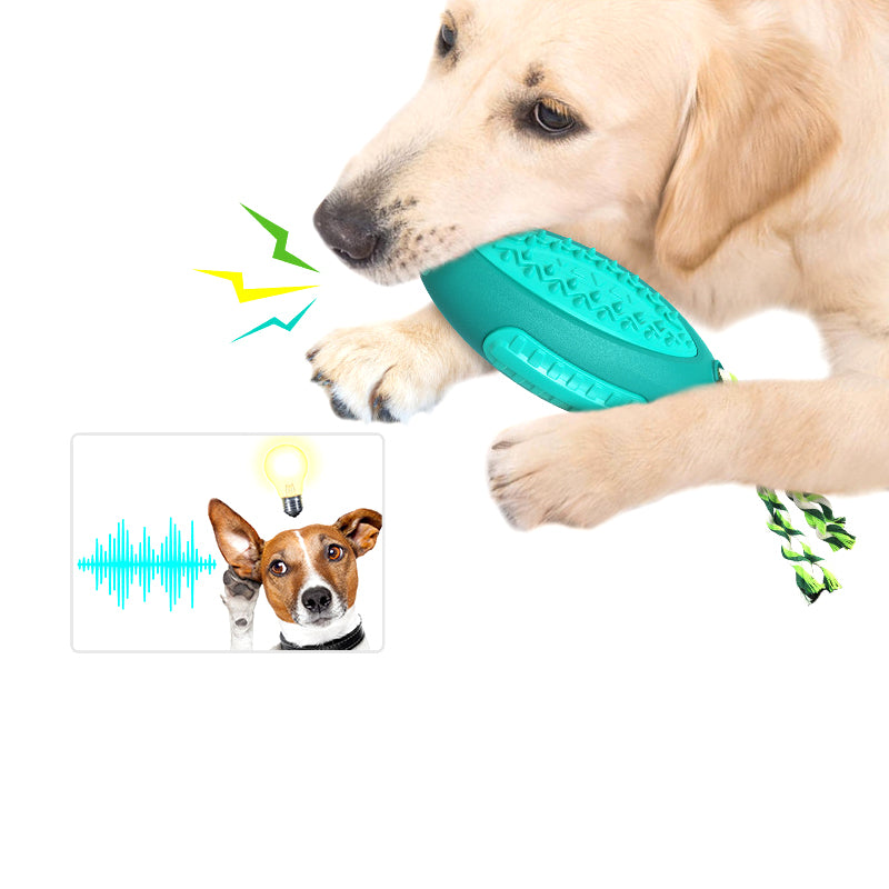 Vocal Rugby Dog Toy