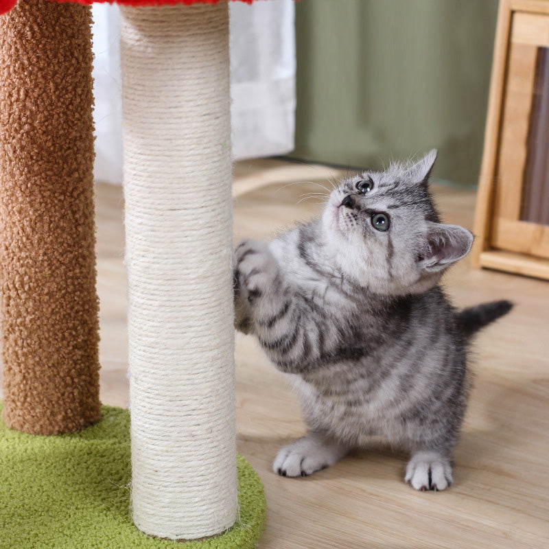 Cherry cat tree