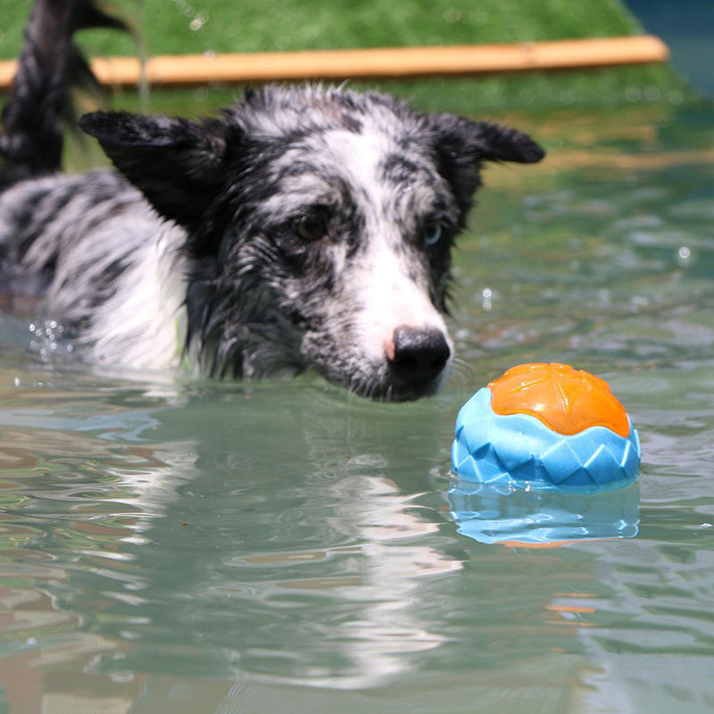 Floating Lighting Throw Dog Ball