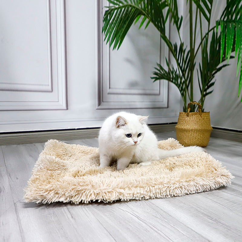 Dual purpose cat bed plush pet mat