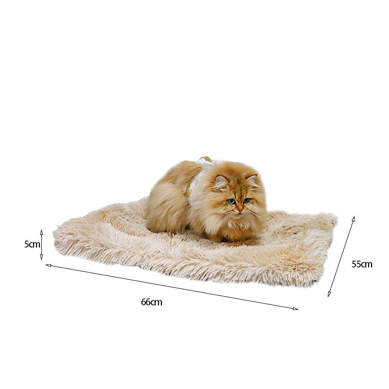 Dual purpose cat bed plush pet mat