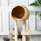 Rattan Nest Cat Tree with Sisal Post Scratcher