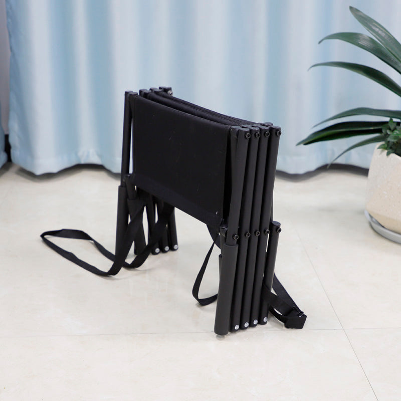 Portable folding shelf pet car ladder