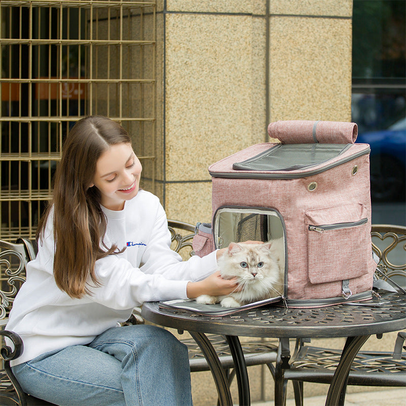 Plus pet travel backpack