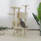 55-inch multifunctional cat activity center for indoor cats