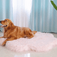 Orthopedic fluffy indoor dog bed